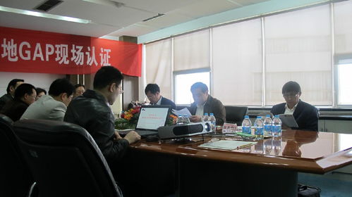 成都锦良策企业管理咨询 专业商务信息咨询的智慧之选